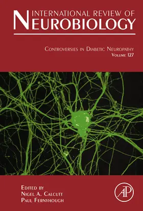 Calcutt / Fernyhough | Controversies In Diabetic Neuropathy | E-Book | sack.de