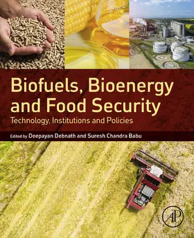 Debnath / Babu | Biofuels, Bioenergy and Food Security | E-Book | sack.de