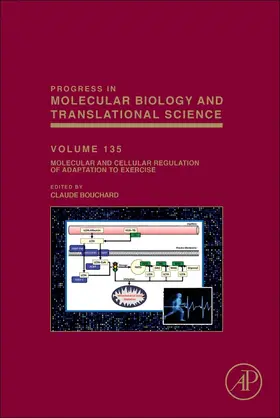 Bouchard | Molecular and Cellular Regulation of Adaptation to Exercise | Buch | 978-0-12-803991-5 | sack.de