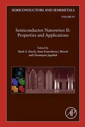 Jagadish |  Semiconductor Nanowires II: Properties and Applications | eBook | Sack Fachmedien