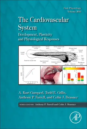 Gamperl / Gillis / Farrell | The Cardiovascular System | Buch | 978-0-12-804164-2 | sack.de
