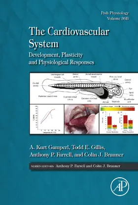 Gamperl / Gillis of Comparative Physiology / Farrell | The Cardiovascular System | E-Book | sack.de