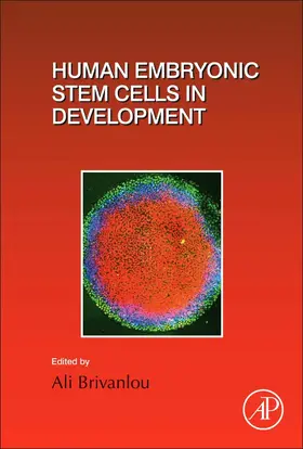 Human Embryonic Stem Cells in Development | Buch | 978-0-12-804251-9 | sack.de