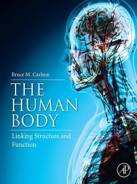 Carlson | The Human Body | E-Book | www.sack.de