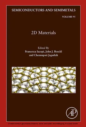 Iacopi / Jagadish | 2D Materials | E-Book | sack.de