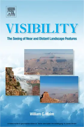 Malm | Visibility | E-Book | www.sack.de