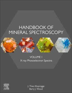 Kloprogge / Wood | Handbook of Mineral Spectroscopy | Buch | sack.de