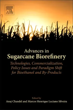 Chandel / Luciano Silveira |  Advances in Sugarcane Biorefinery | Buch |  Sack Fachmedien