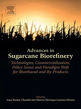 Chandel / Luciano Silveira |  Advances in Sugarcane Biorefinery | eBook | Sack Fachmedien