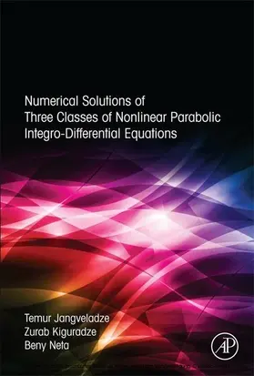 Jangveladze / Kiguradze / Neta |  Numerical Solutions of Three Classes of Nonlinear Parabolic Integro-Differential Equations | eBook | Sack Fachmedien