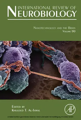Al-Jamal | Nanotechnology and the Brain | E-Book | www.sack.de