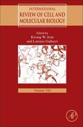 Galluzzi / Jeon |  International Review of Cell and Molecular Biology | Buch |  Sack Fachmedien