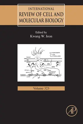 Galluzzi |  International Review of Cell and Molecular Biology | eBook | Sack Fachmedien