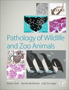 Terio / McAloose / St. Leger |  Pathology of Wildlife and Zoo Animals | Buch |  Sack Fachmedien