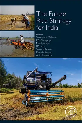 Mohanty / Chengappa / Hedge |  The Future Rice Strategy for India | Buch |  Sack Fachmedien