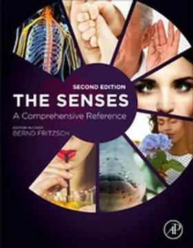 Fritzsch |  The Senses: A Comprehensive Reference | eBook | Sack Fachmedien
