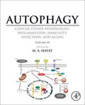 Hayat |  Autophagy: Cancer, Other Pathologies, Inflammation, Immunity | Buch |  Sack Fachmedien