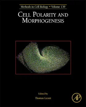  Cell Polarity and Morphogenesis | Buch |  Sack Fachmedien