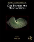  Cell Polarity and Morphogenesis | Buch |  Sack Fachmedien