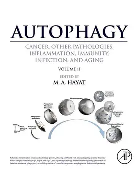 Hayat | Autophagy: Cancer, Other Pathologies, Inflammation, Immunity, Infection, and Aging | E-Book | www.sack.de