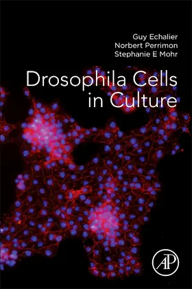 Echalier / Perrimon / Mohr |  Drosophila Cells in Culture | Buch |  Sack Fachmedien