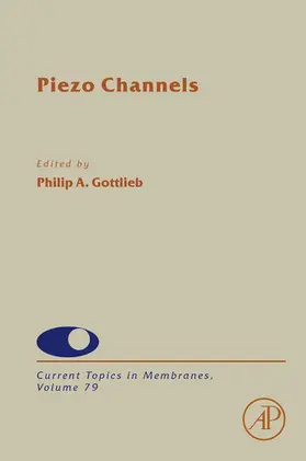  Piezo Channels | eBook | Sack Fachmedien