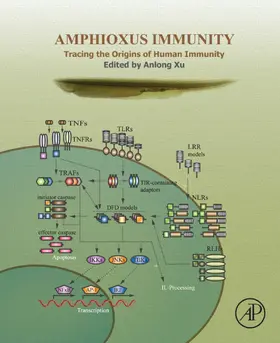 Xu | Amphioxus Immunity | E-Book | www.sack.de