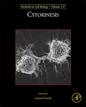  Cytokinesis | Buch |  Sack Fachmedien