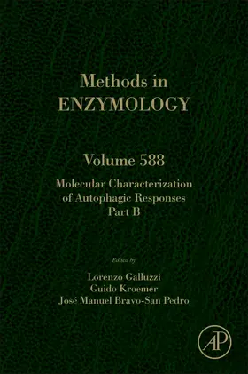 Galluzzi |  Molecular Characterization of Autophagic Responses Part B | Buch |  Sack Fachmedien