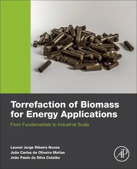 Nunes / De Oliveira Matias / Da Silva Catalao | Torrefaction of Biomass for Energy Applications | E-Book | www.sack.de