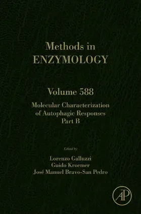 Galluzzi / Kroemer | Molecular Characterization of Autophagic Responses Part B | E-Book | www.sack.de