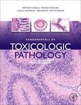 Wallig / Bolon / M Haschek |  Fundamentals of Toxicologic Pathology | Buch |  Sack Fachmedien