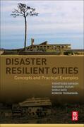 Hayashi / Suzuki / Sato |  Disaster Resilient Cities | Buch |  Sack Fachmedien