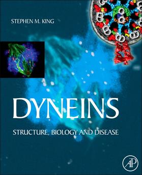 King |  Dyneins | Buch |  Sack Fachmedien