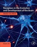 Fine |  Receptors in the Evolution and Development of the Brain | Buch |  Sack Fachmedien