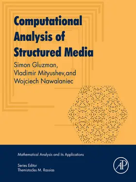 Gluzman / Mityushev / Nawalaniec |  Computational Analysis of Structured Media | eBook | Sack Fachmedien