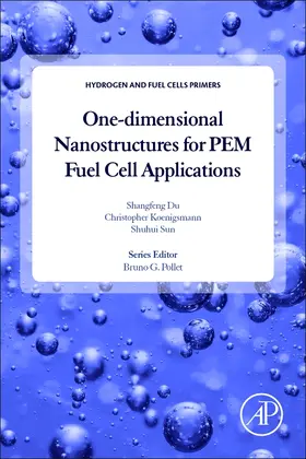 Du / Koenigsmann / Sun |  One-Dimensional Nanostructures for Pem Fuel Cell Applications | Buch |  Sack Fachmedien
