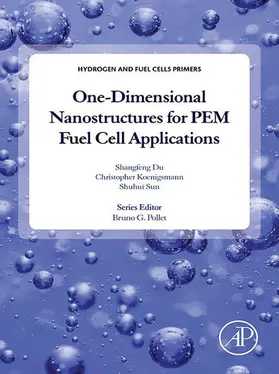 Du / Koenigsmann / Sun | One-dimensional Nanostructures for PEM Fuel Cell Applications | E-Book | www.sack.de