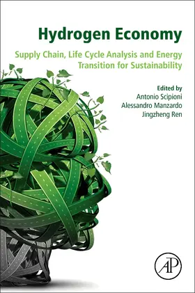 Scipioni / Manzardo / Ren | Hydrogen Economy | Buch | 978-0-12-811132-1 | www.sack.de