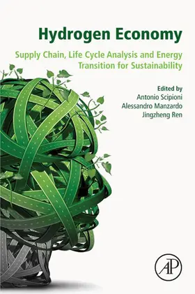 Scipioni / Manzardo / Ren | Hydrogen Economy | E-Book | www.sack.de