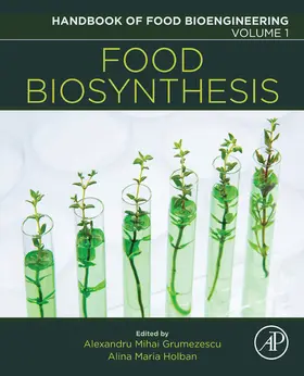 Grumezescu / Holban | Food Biosynthesis | E-Book | www.sack.de