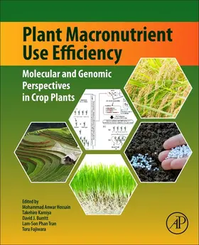 Hossain / Kamiya / Burritt |  Plant Macronutrient Use Efficiency | eBook | Sack Fachmedien