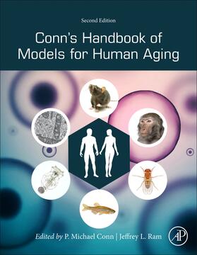 Ram / Conn | Conn's Handbook of Models for Human Aging | Buch | 978-0-12-811353-0 | sack.de