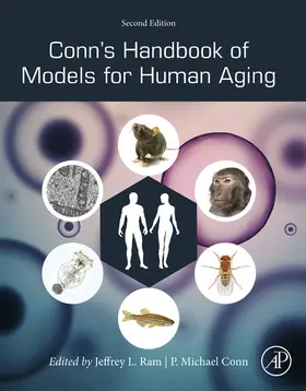 Ram / Conn | Conn's Handbook of Models for Human Aging | E-Book | www.sack.de