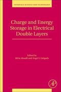 Ahualli / Delgado |  Charge and Energy Storage in Electrical Double Layers | Buch |  Sack Fachmedien
