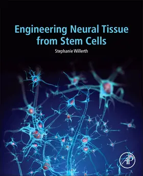 Willerth |  Engineering Neural Tissue from Stem Cells | Buch |  Sack Fachmedien