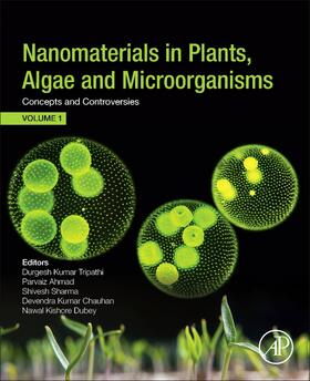 Tripathi / Ahmad / Sharma |  Nanomaterials in Plants, Algae, and Microorganisms | Buch |  Sack Fachmedien
