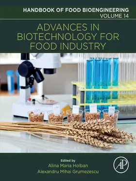 Grumezescu / Holban | Advances in Biotechnology for Food Industry | E-Book | www.sack.de