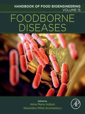 Grumezescu / Holban | Foodborne Diseases | E-Book | www.sack.de