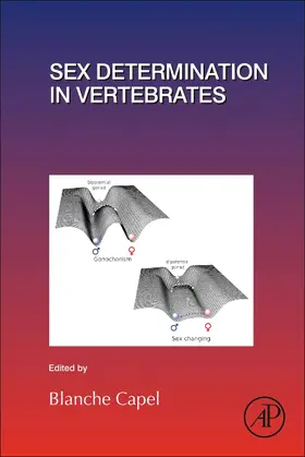 Sex Determination in Vertebrates | Buch | 978-0-12-811544-2 | www.sack.de